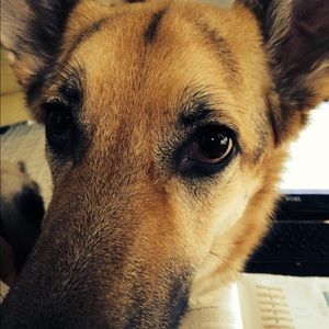 Meet your Posher, Emily